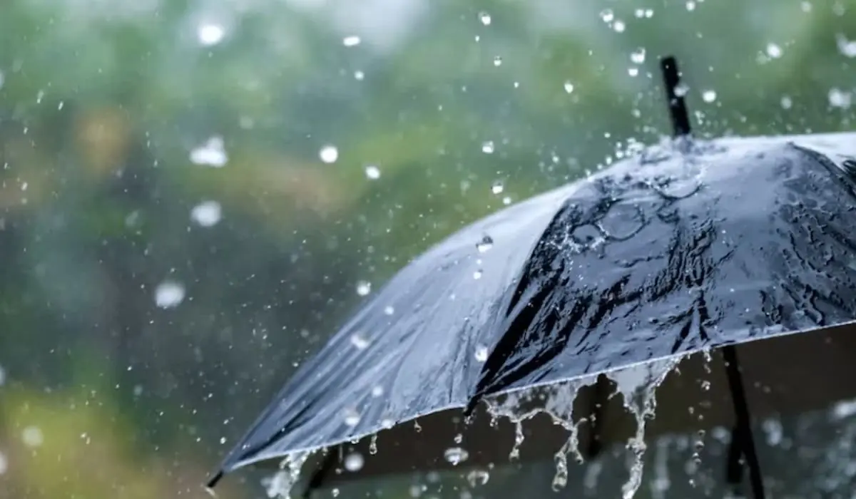 Bihar Weather: 15 अगस्त को बिहार के इन जिलों में मूसलधार बारिश का अलर्ट, प्रशासन ने जारी की चेतावनी