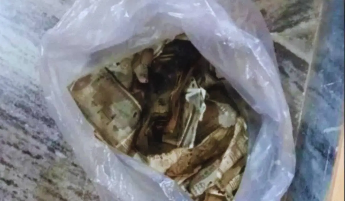 Patna News: पटना में ग्रामीण कार्य विभाग के इंजीनियर के ठिकाने पर छापेमारी, 55 लाख नकद बरामद, करोड़ों की संपत्ति